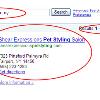 Shear Expressions Pet Styling provide pet services and are located in Rochester, NY. They come up on page 1 (notice the RESULTS 1-10) when searched locally. Try it yourself !!!